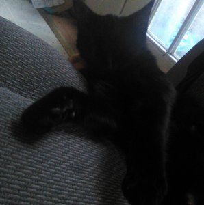 Meet your Posher, Jeremiah